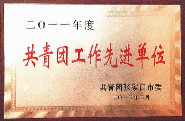 热烈祝贺世界杯官网团委获得“五四红旗团委”荣誉称号