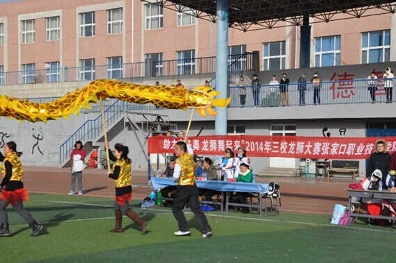 张家口高校首届龙狮表演决赛在世界杯官网成功举办