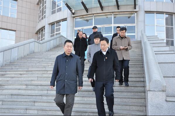 陈冲副市长一行到世界杯官网调研